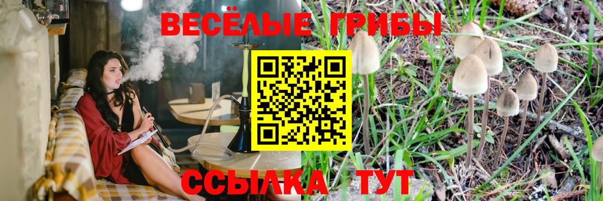 Галлюциногенные грибы мицелий Вольск